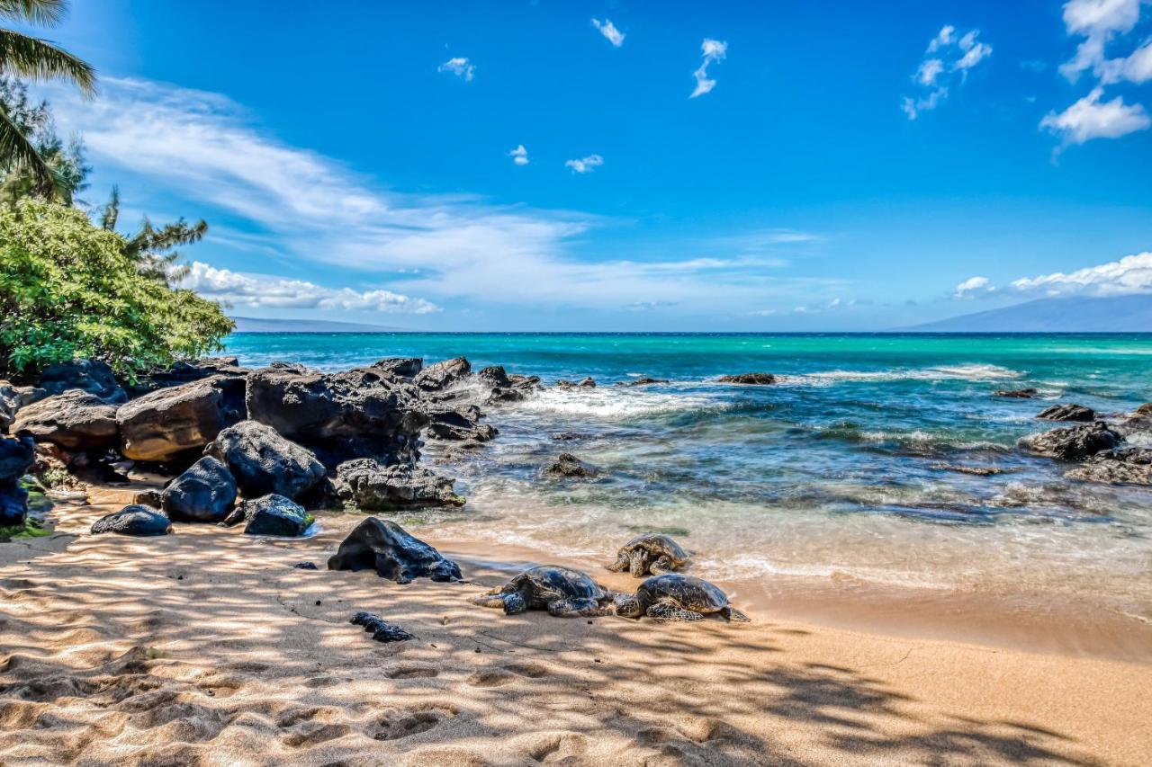 Mahina Surf Villa Kahana Ruang foto